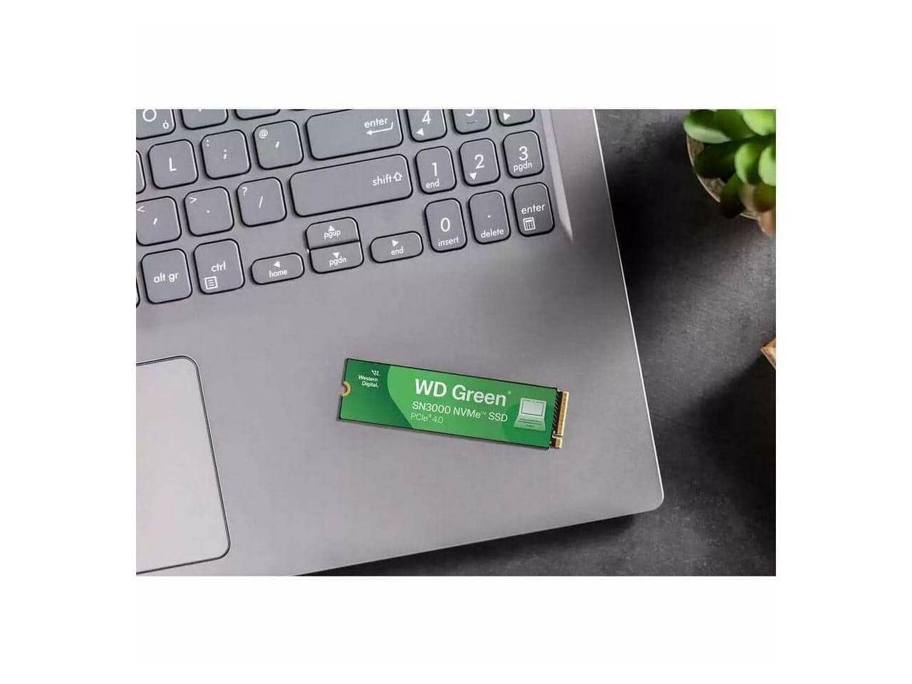 SanDisk Western Digital Green SN3000 1 TB M.2 NVMe SSD 2280, PCIe