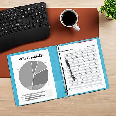 CONFEEVIA ANNUAL BUDGET REVENUE