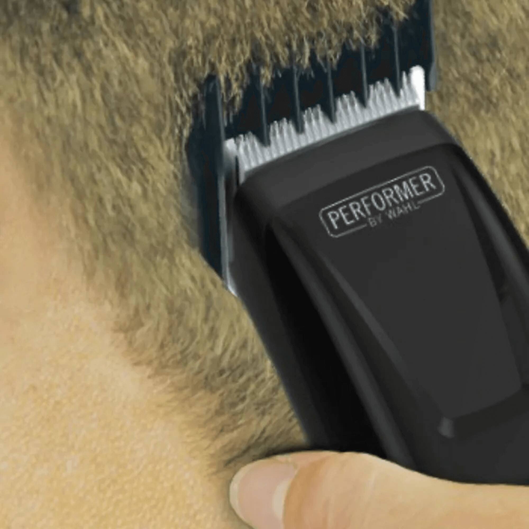 PERFORMER BY WAHL