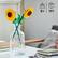 Angle. LEGO - Sunflowers Building Toy Set 40524.