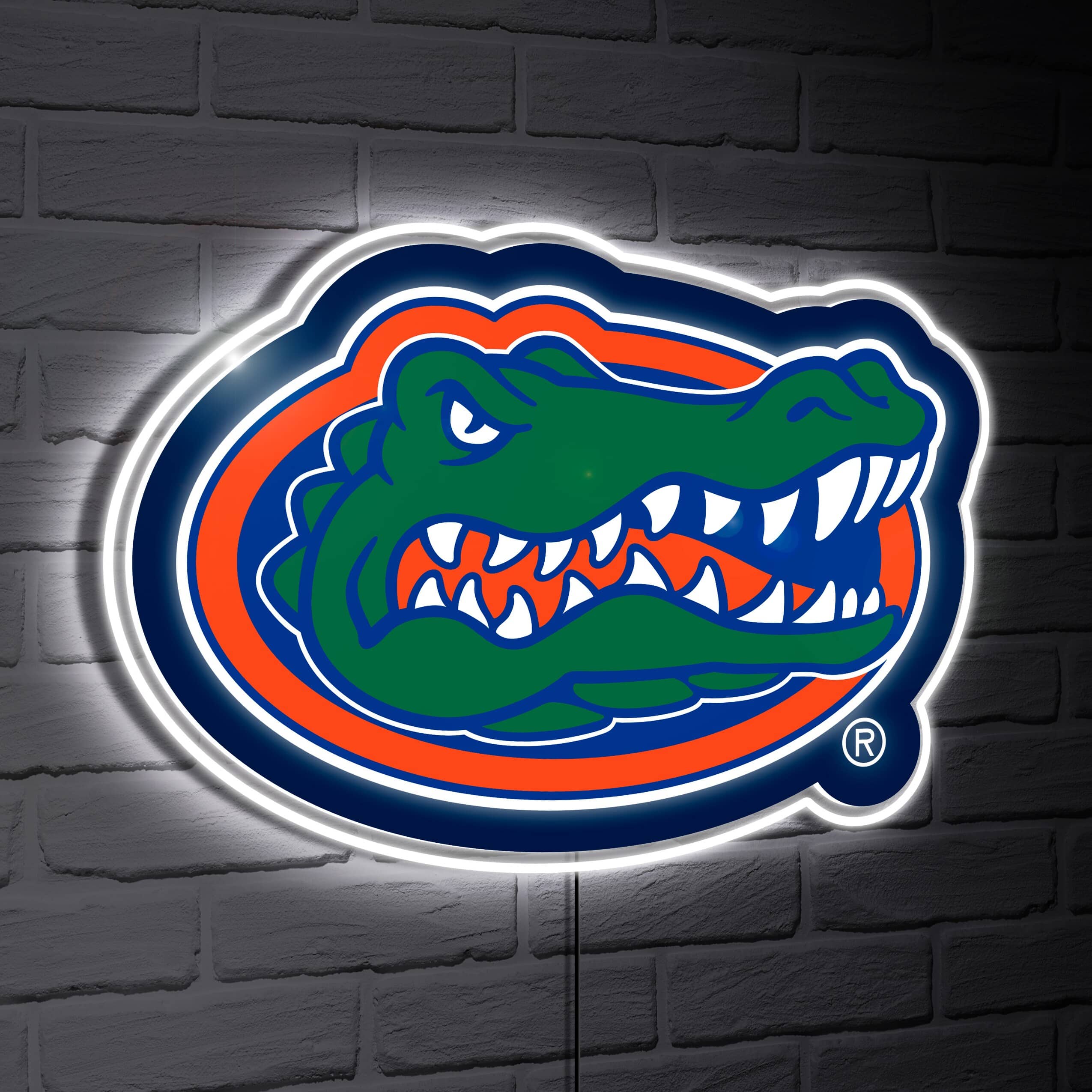 Evergreen Enterprises - Florida Gators LED Team Logo Shaped Lighted Wall Sign - Multicolor