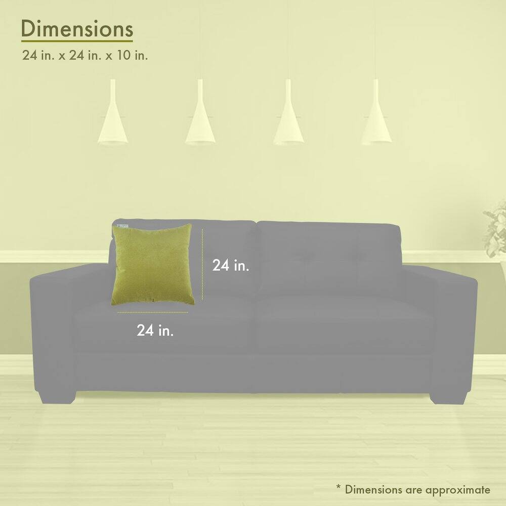 Dimensions  
24 in. x 24 in. x 10 in.  

24 in.  
24 in.  

* Dimensions are approximate