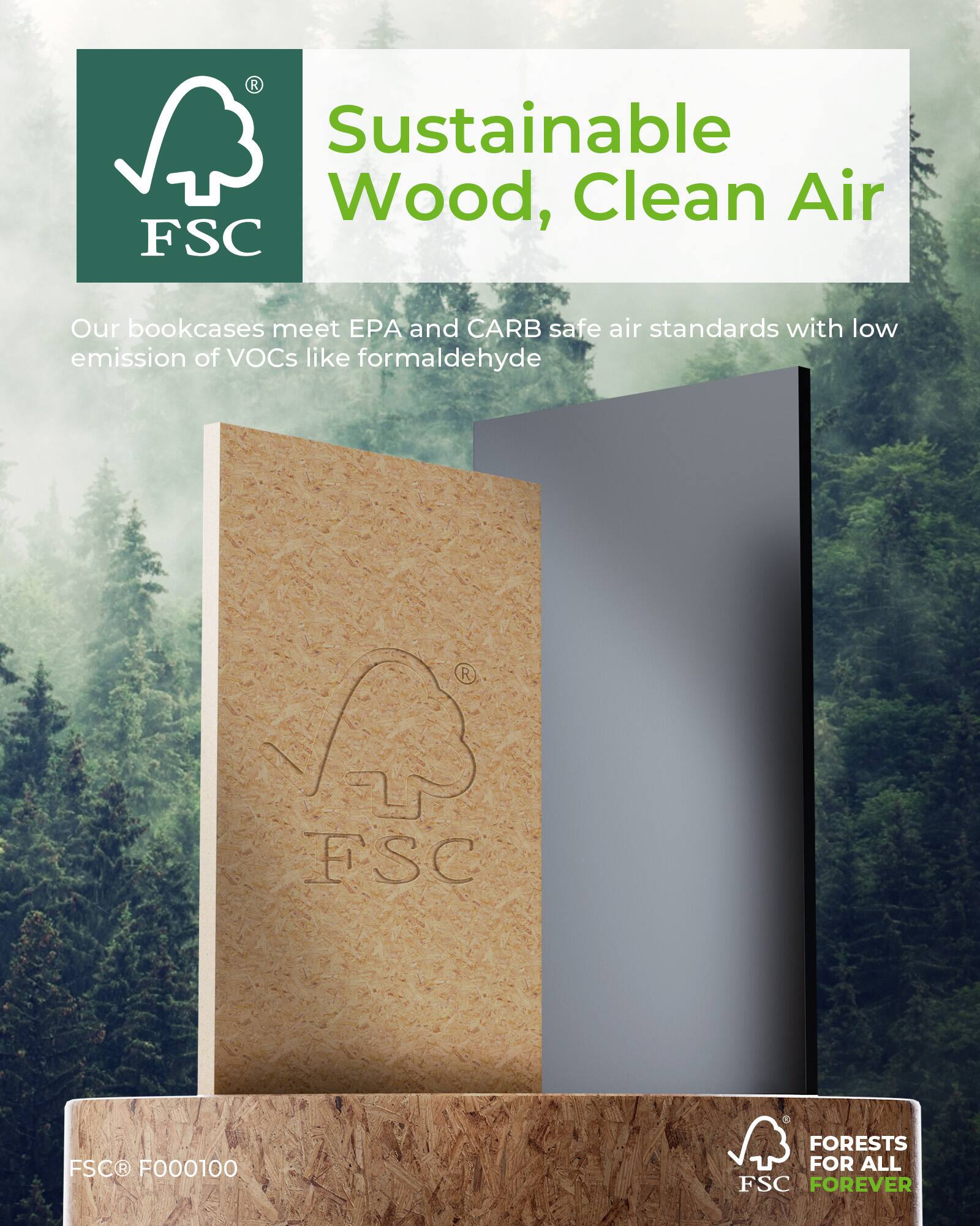 Sustainable Wood, Clean Air

Our bookcases meet EPA and CARB safe air standards with low emission of VOCs like formaldehyde

FSC® F000100

FORESTS FOR ALL FOREVER