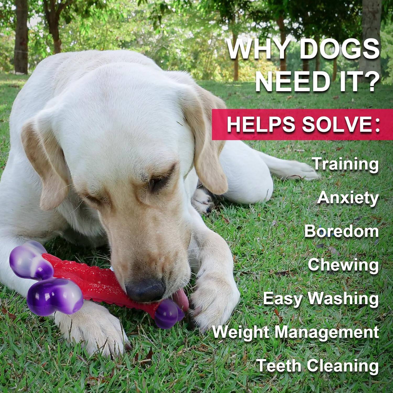 Frienhund Nylon Bone Shaped Chicken Flavored Dog Chew Toy, 1 count Red ...