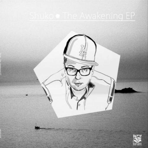 

The Awakening [12 inch Vinyl Single]