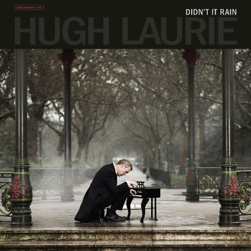  Didn't It Rain [CD]