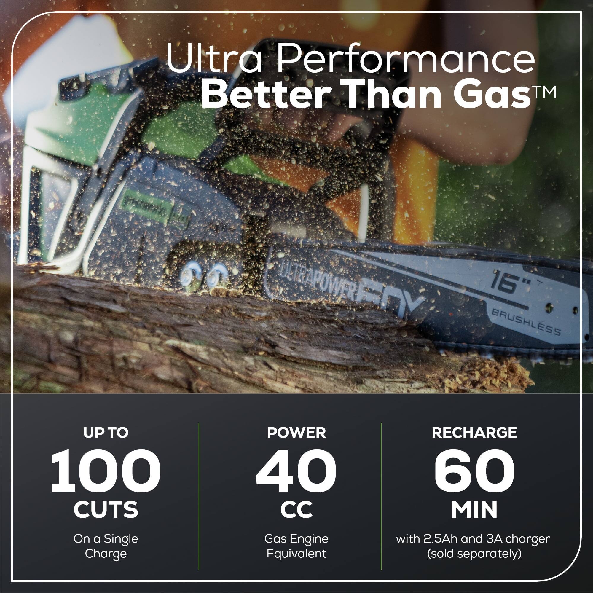 Ultra Performance Better Than Gas™

- UP TO 100 CUTS on a Single Charge
- POWER 40 CC Gas Engine Equivalent
- RECHARGE 60 MIN with 2.5Ah and 3A charger (sold separately)
