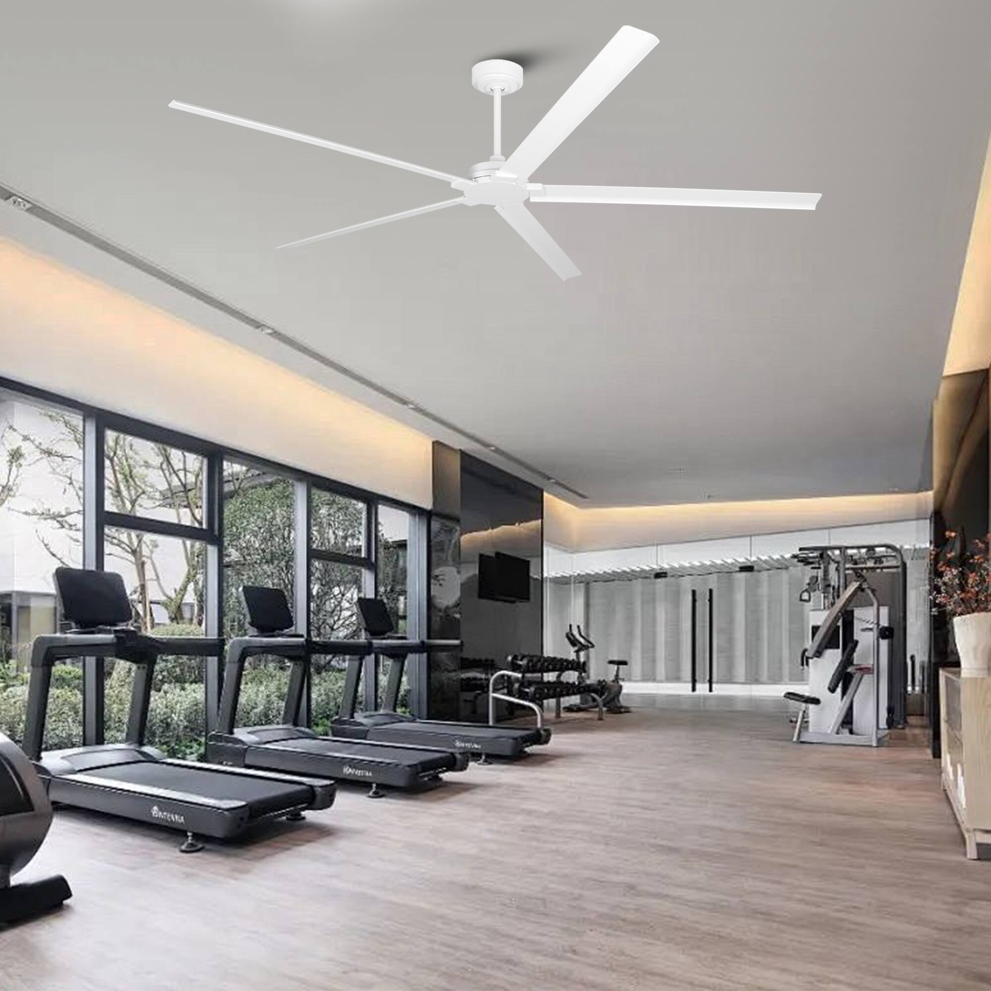 -g_o_arb eara