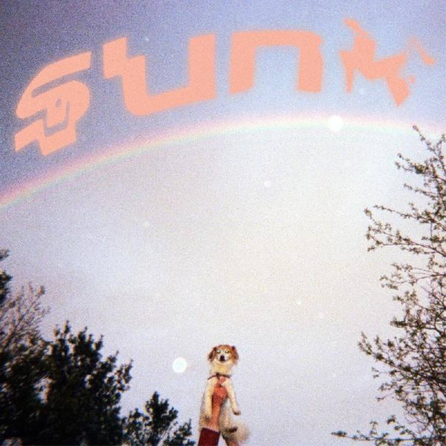 Front. Babehoven - Sunk   - COMPACT DISCS.