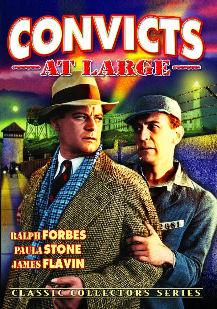 Convicts at Large - DVD price history on PriceWatchPro