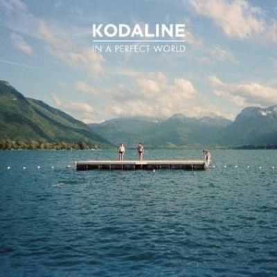 In a Perfect World [LP] - VINYL