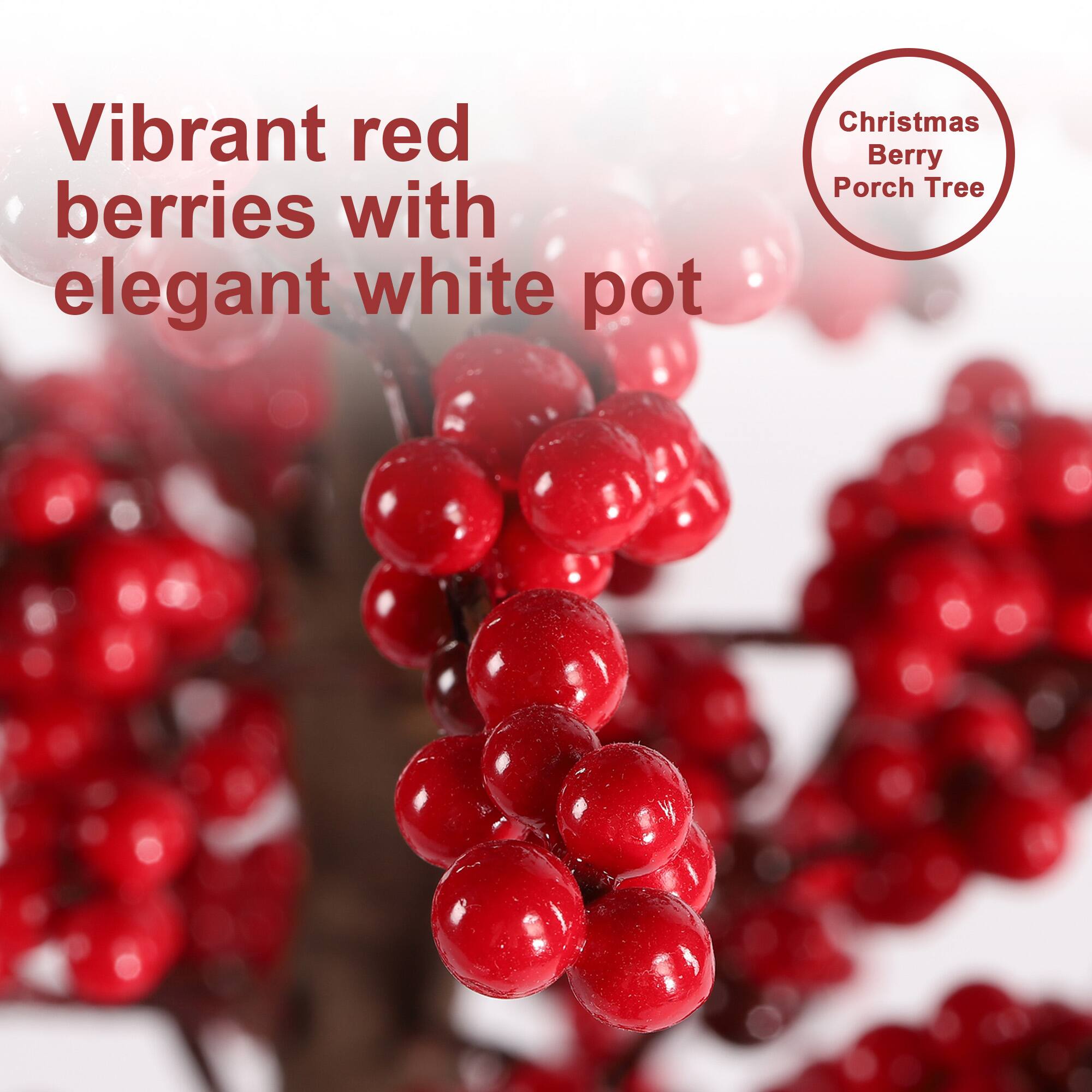 Vibrant red berries with elegant white pot

Christmas Berry Porch Tree