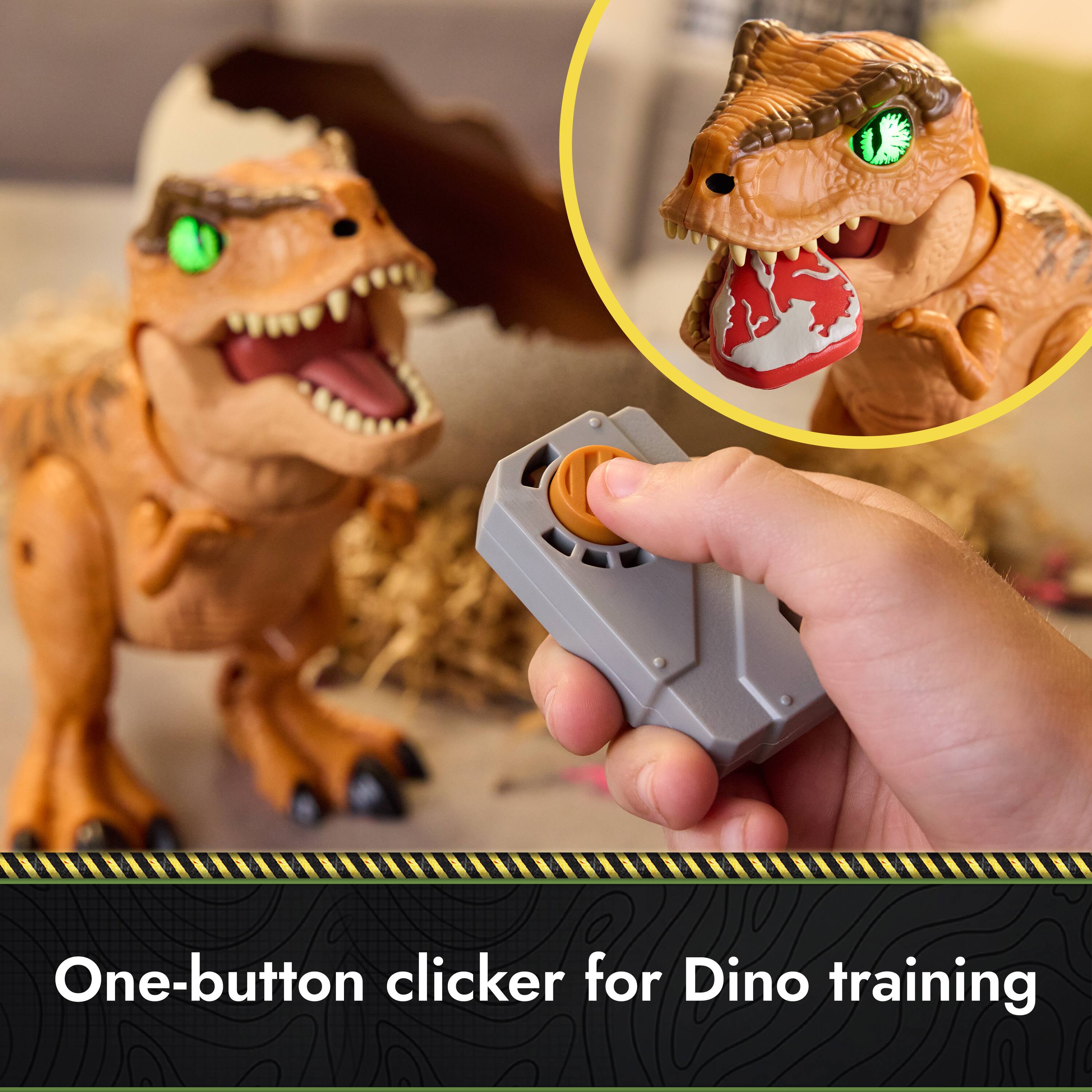 One-button clicker for Dino training