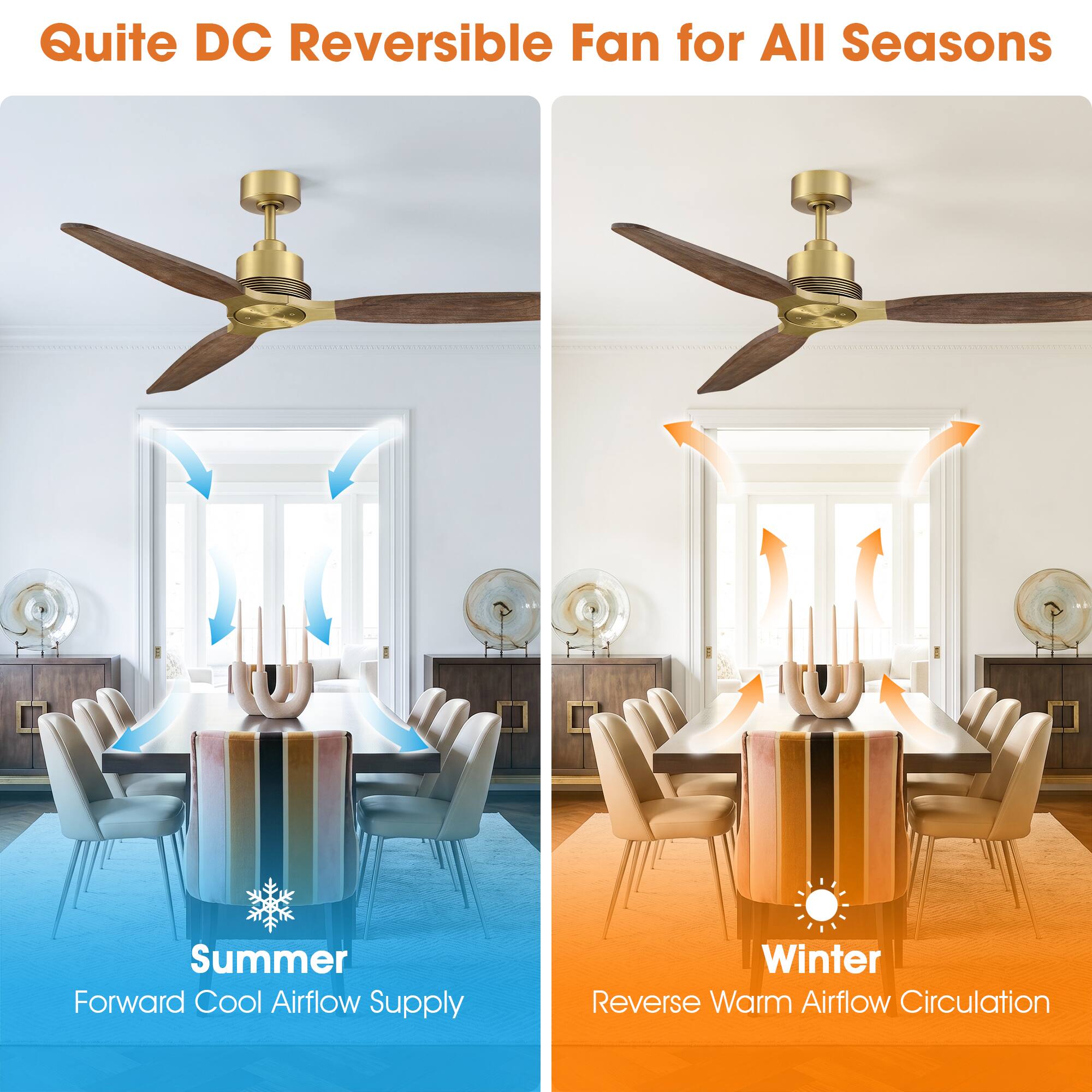 Quite DC Reversible Fan for All Seasons

Summer
Forward Cool Airflow Supply

Winter
Reverse Warm Airflow Circulation