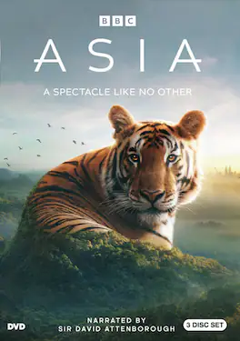 Asia - DVD