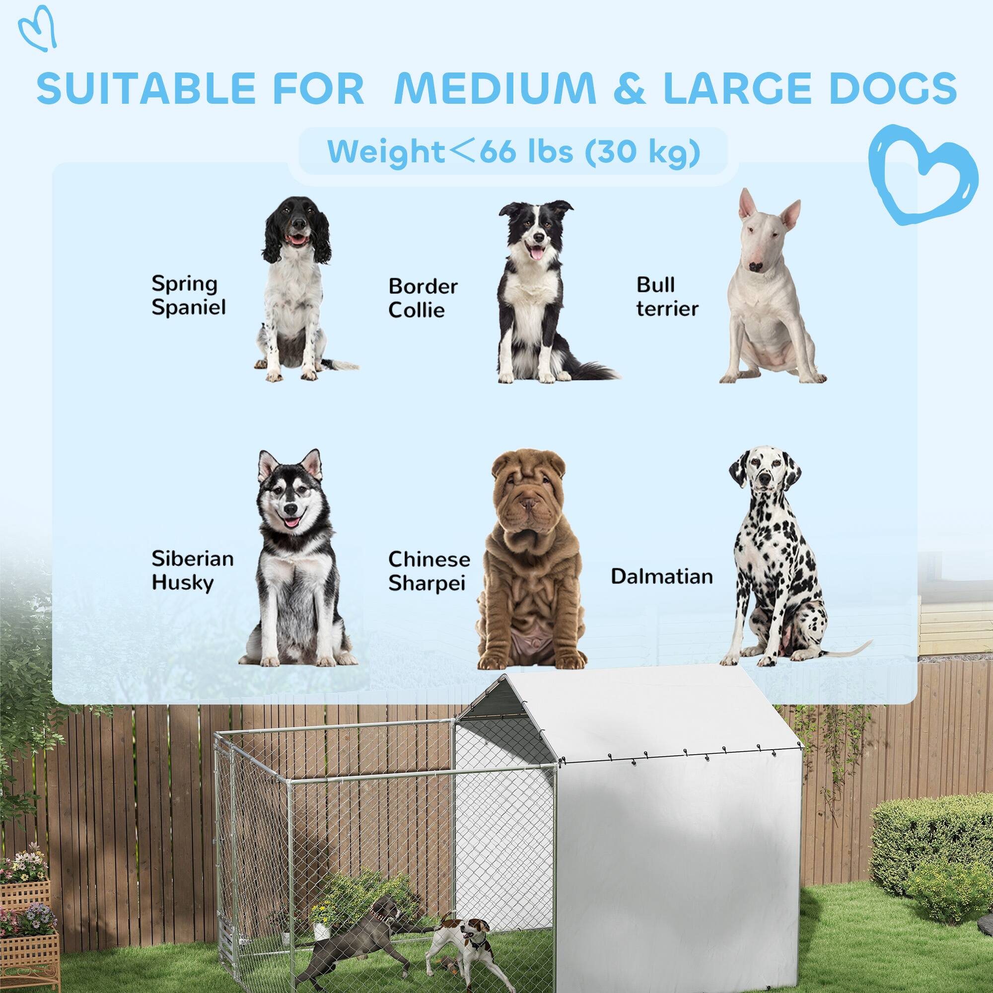 SUITABLE FOR MEDIUM & LARGE DOGS  
Weight < 66 lbs (30 kg)  

- Spring Spaniel  
- Border Collie  
- Bull Terrier  
- Siberian Husky  
- Chinese Sharpei  
- Dalmatian
