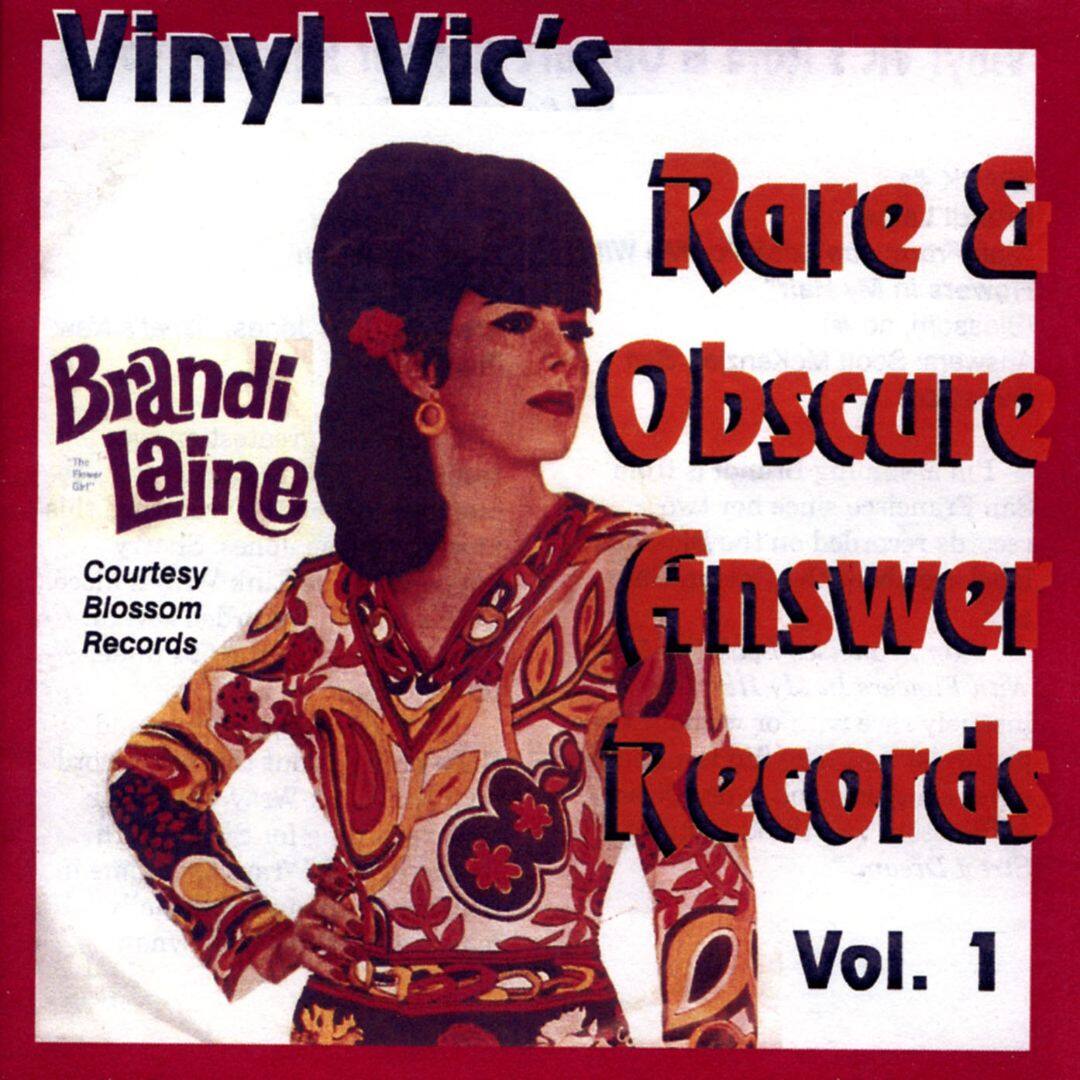 Best Buy Vinyl Vic's Number 01 Rare Answer [CD]