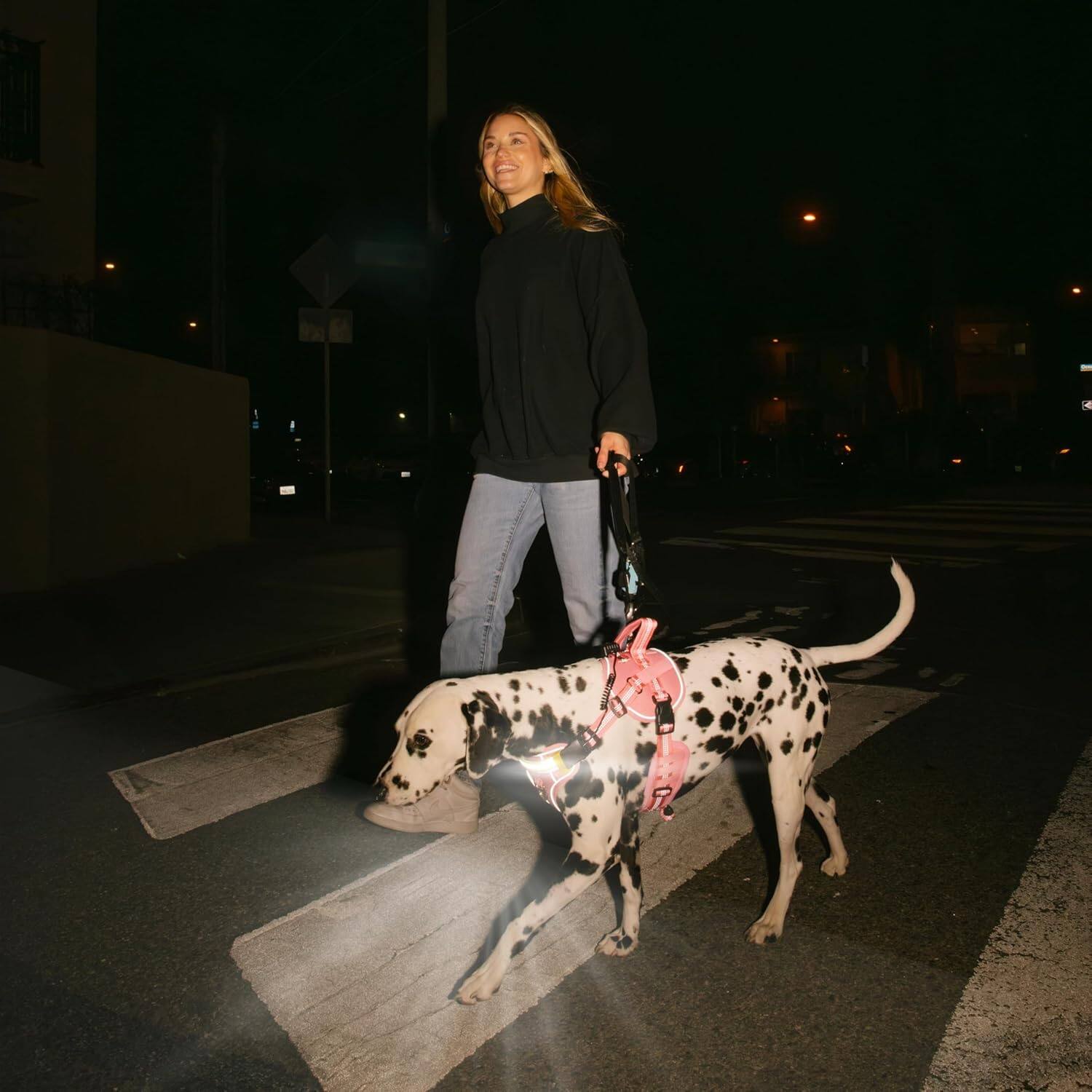 Alt View 5. Lumi Pawtners - Lumi One LED Dog Harness Pink - Pink.