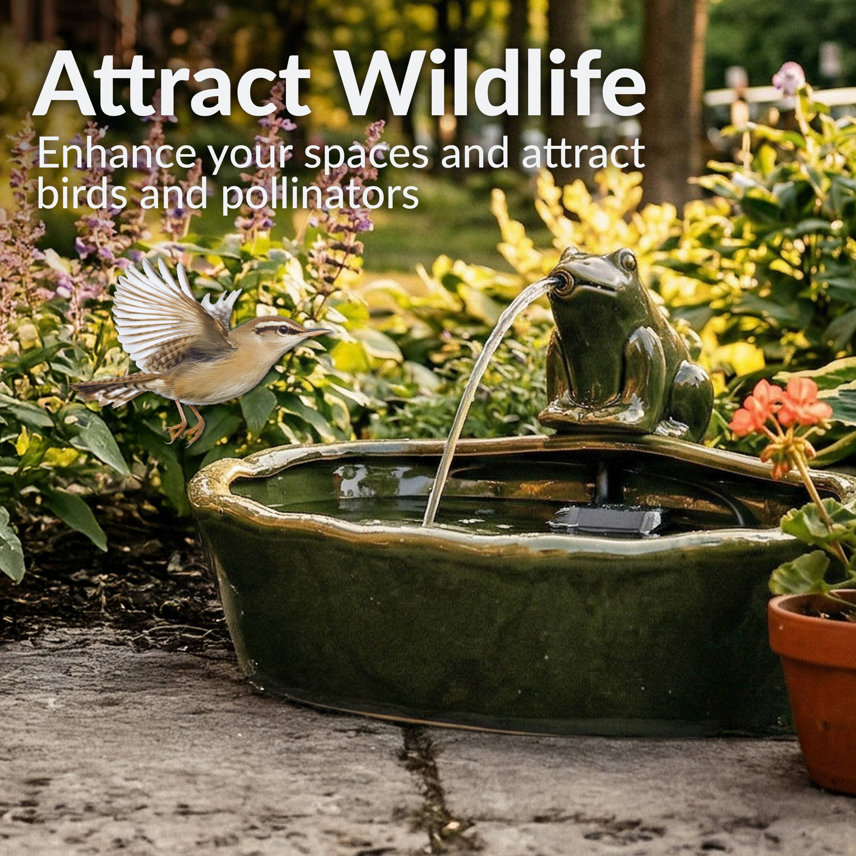 Attract Wildlife  
Enhance your spaces and attract birds and pollinators