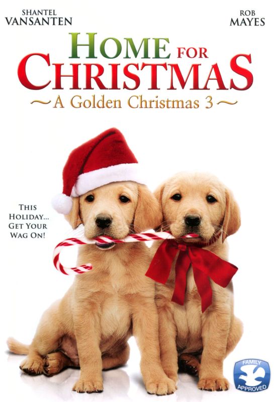  Home for Christmas: A Golden Christmas 3 [DVD] [2012]