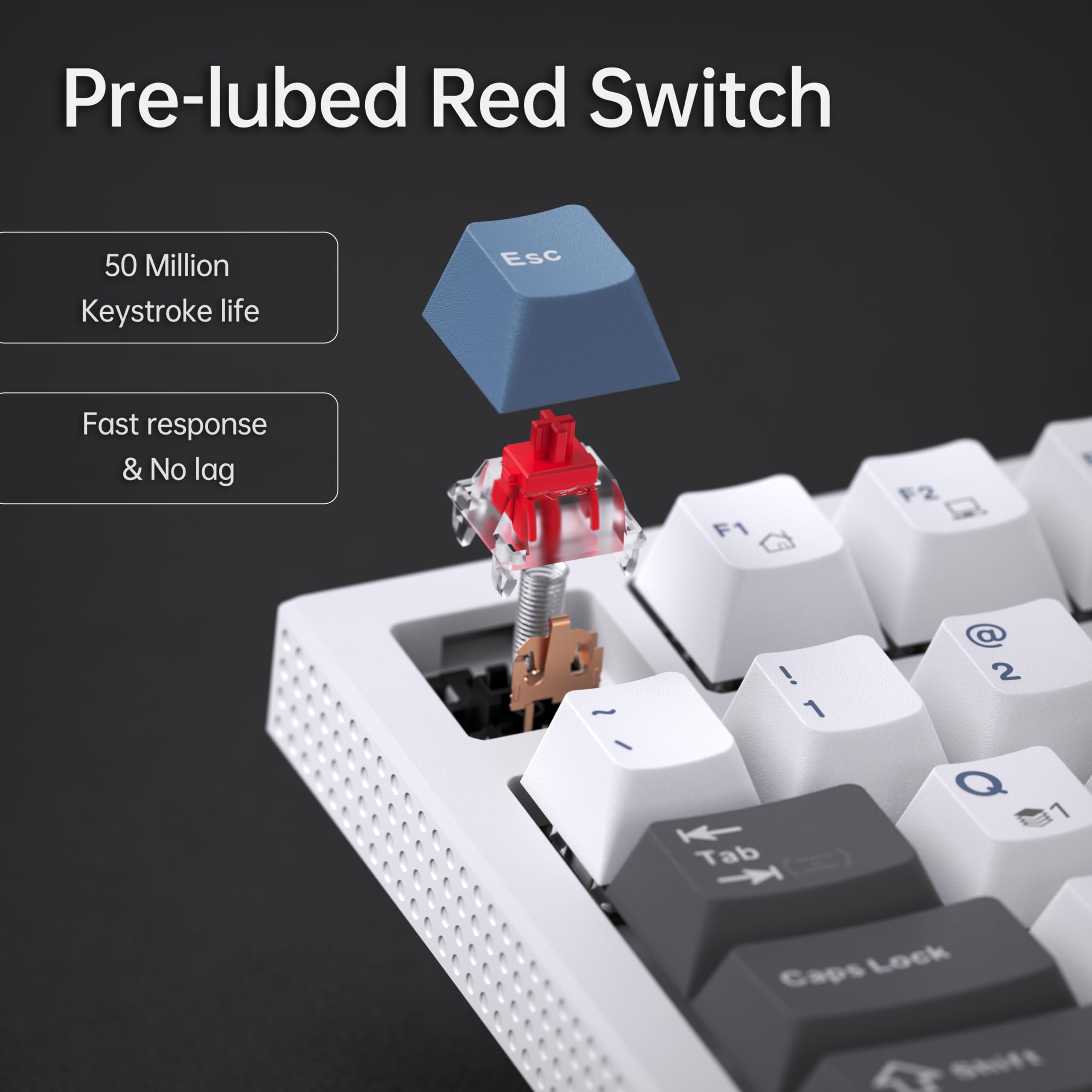 Pre-lubed Red Switch

50 Million Keystroke life

Fast response & No lag

F1 F2

! 1 Tab @ 2 Q

Caps Lock