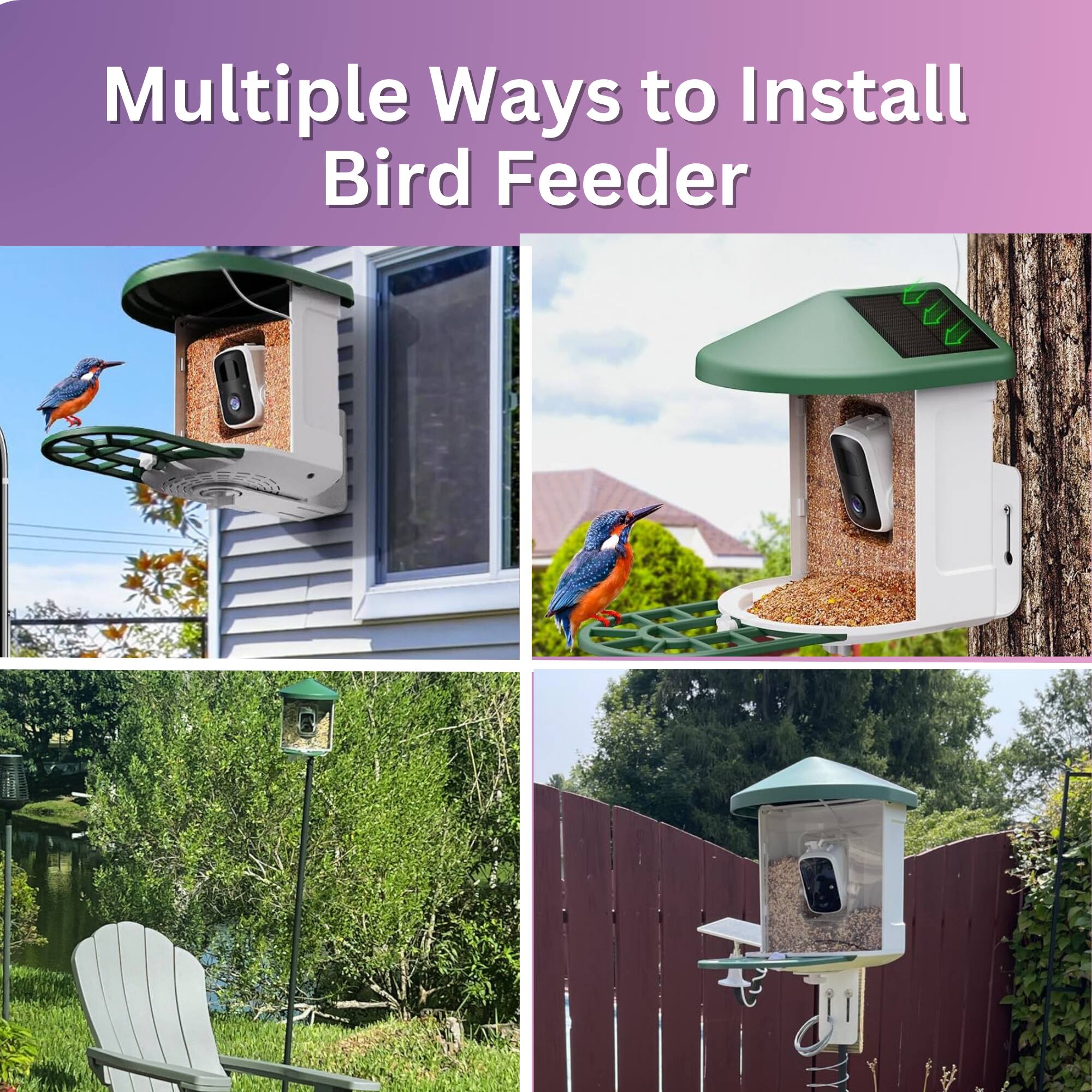Multiple Ways to Install Bird Feeder