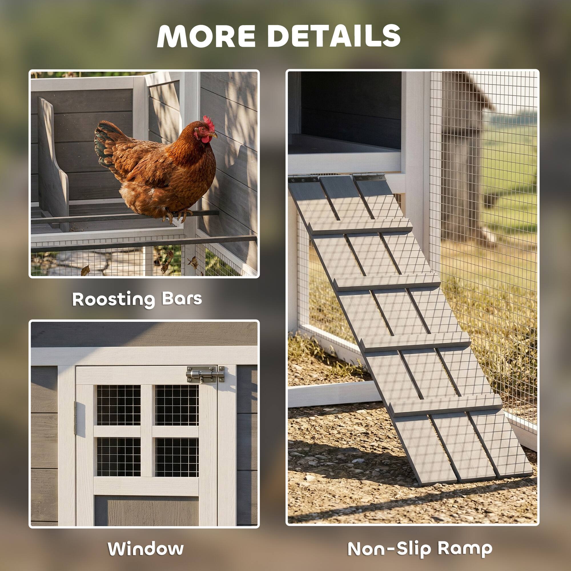 MORE DETAILS

- Roosting Bars
- Window
- Non-Slip Ramp