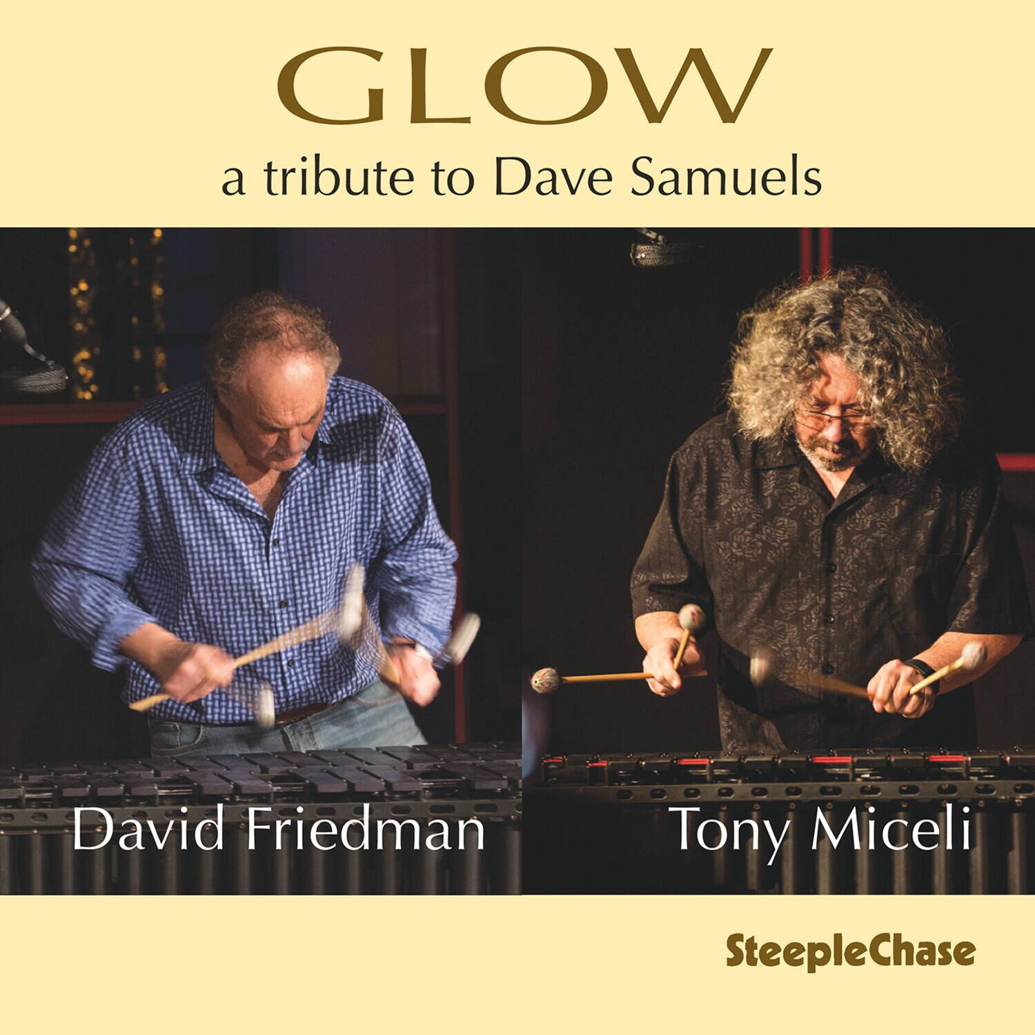 David Friedman - Glow   - COMPACT DISCS [CD] price history on PriceWatchPro