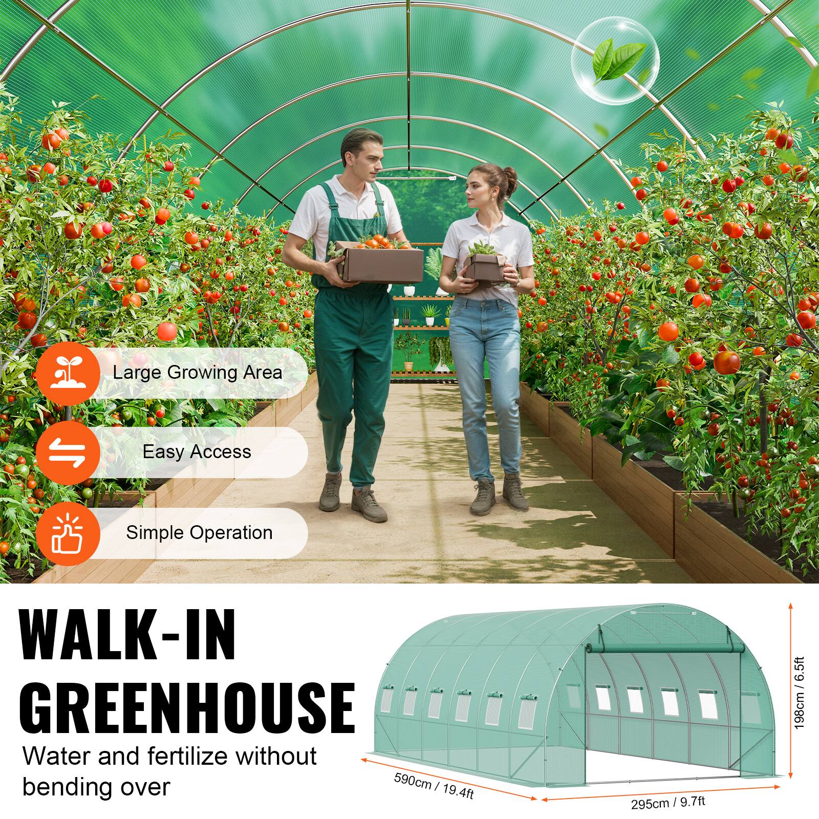 Large Growing Area, Easy Access, Simple Operation, WALK-IN GREENHOUSE, Water and fertilize without bending over, 590cm / 19.4ft, 295cm / 9.7ft, 6.5ft : 198cm.