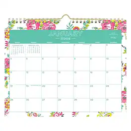 Day Designer for Blue Sky - 2026 Peyton 11" x 8.75" Monthly Desk Calendar - Multicolor