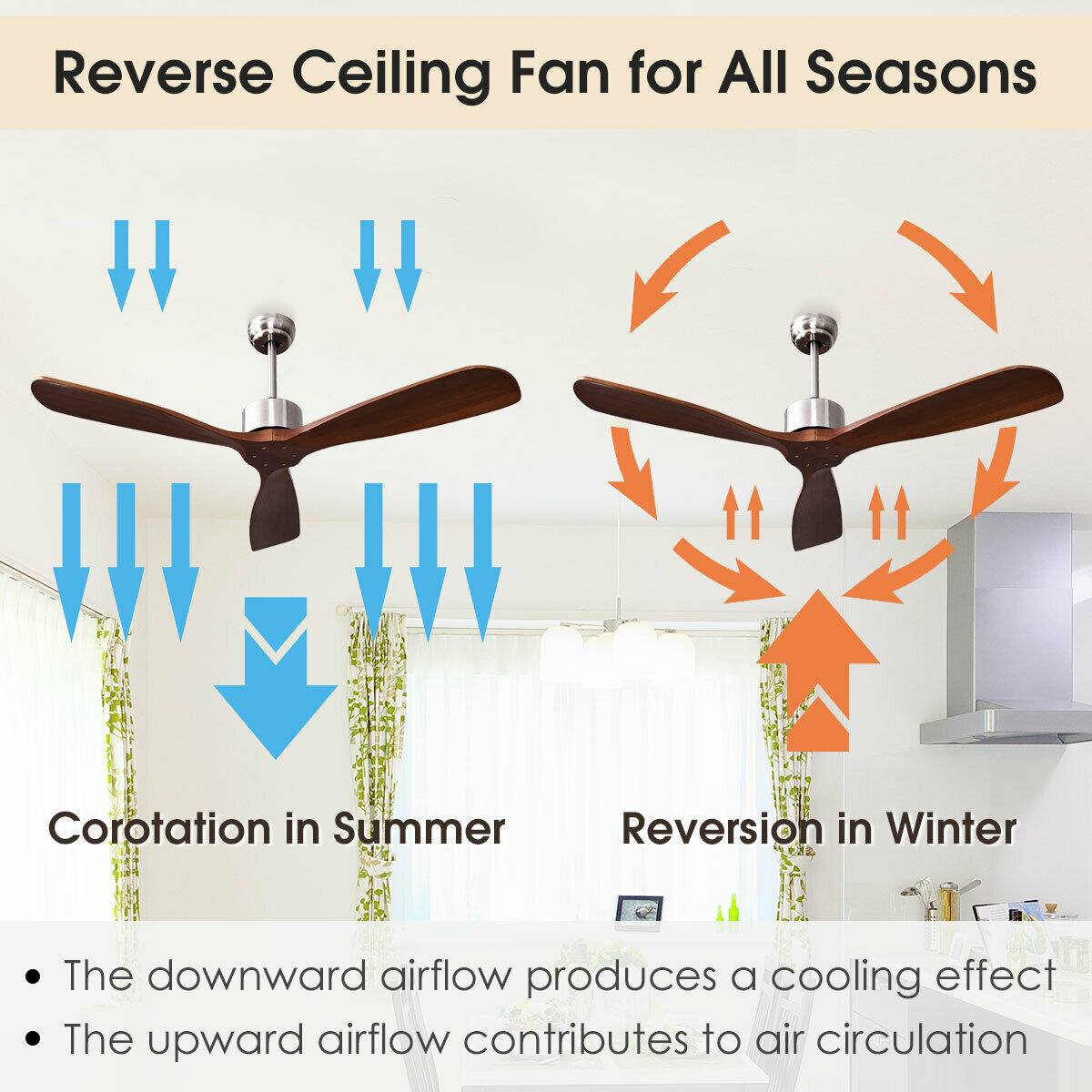Reverse Ceiling Fan for All Seasons

Corotation in Summer
- The downward airflow produces a cooling effect

Reversion in Winter
- The upward airflow contributes to air circulation
