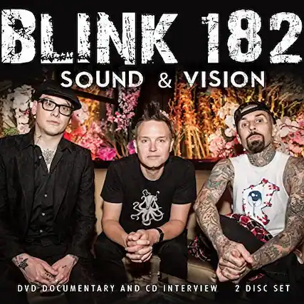 BLINK 182
SOUND & VISION
DVD DOCUMENTARY AND CD INTERVIEW
2 DISC SET