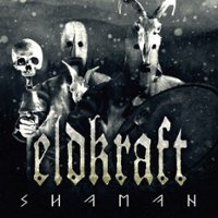 Shaman [LP] - VINYL - Front_Standard