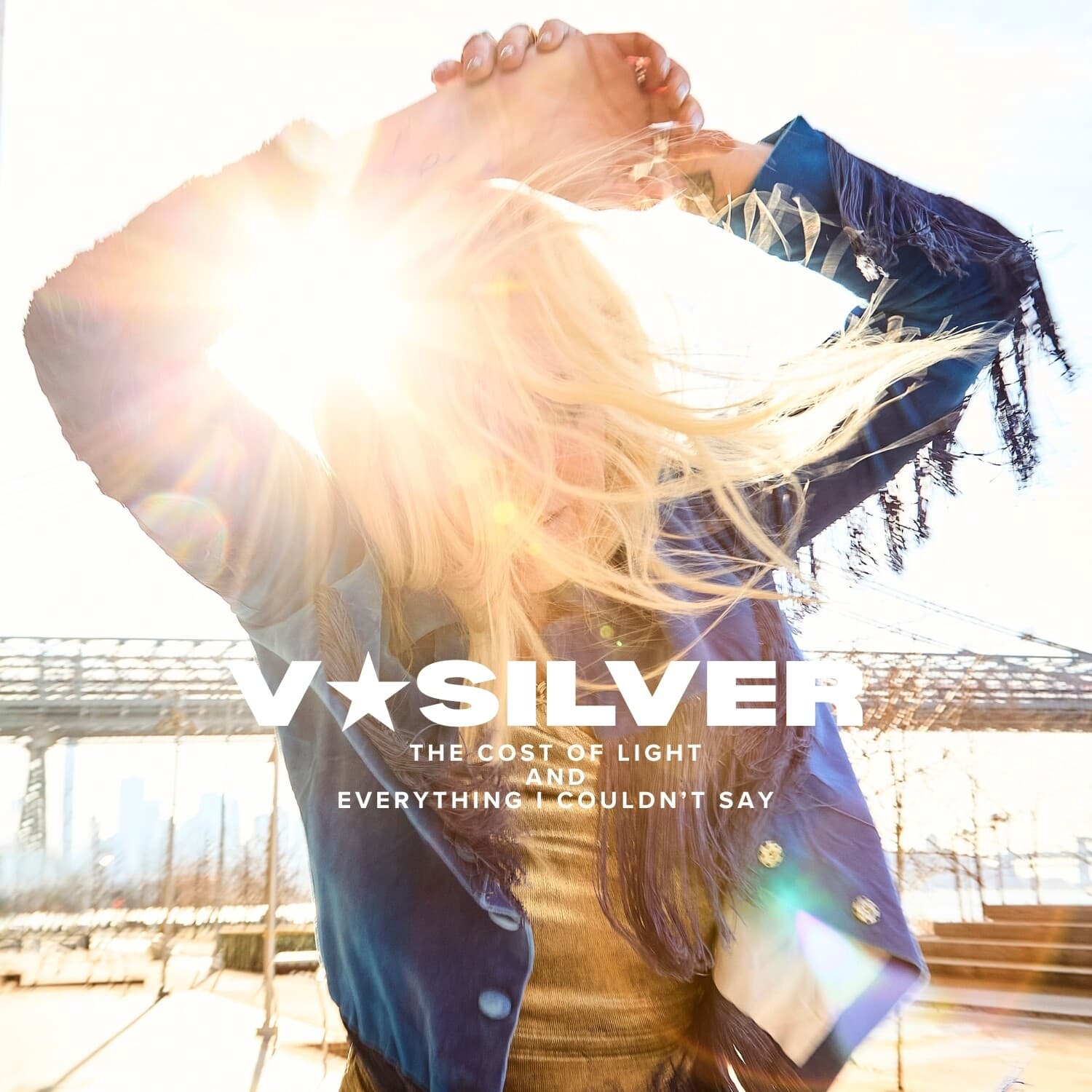 V*Silver - The Cost of Light and Everything I Couldn't Say   - COMPACT DISCS [CD] price history on PriceWatchPro
