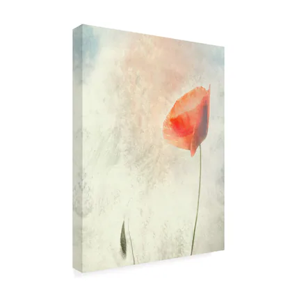 Front. Trademark Fine Art - Gilbert Claes We Should Not Sleep Canvas Art - 18 x 24 Inches - 18x24 - Multicolor.