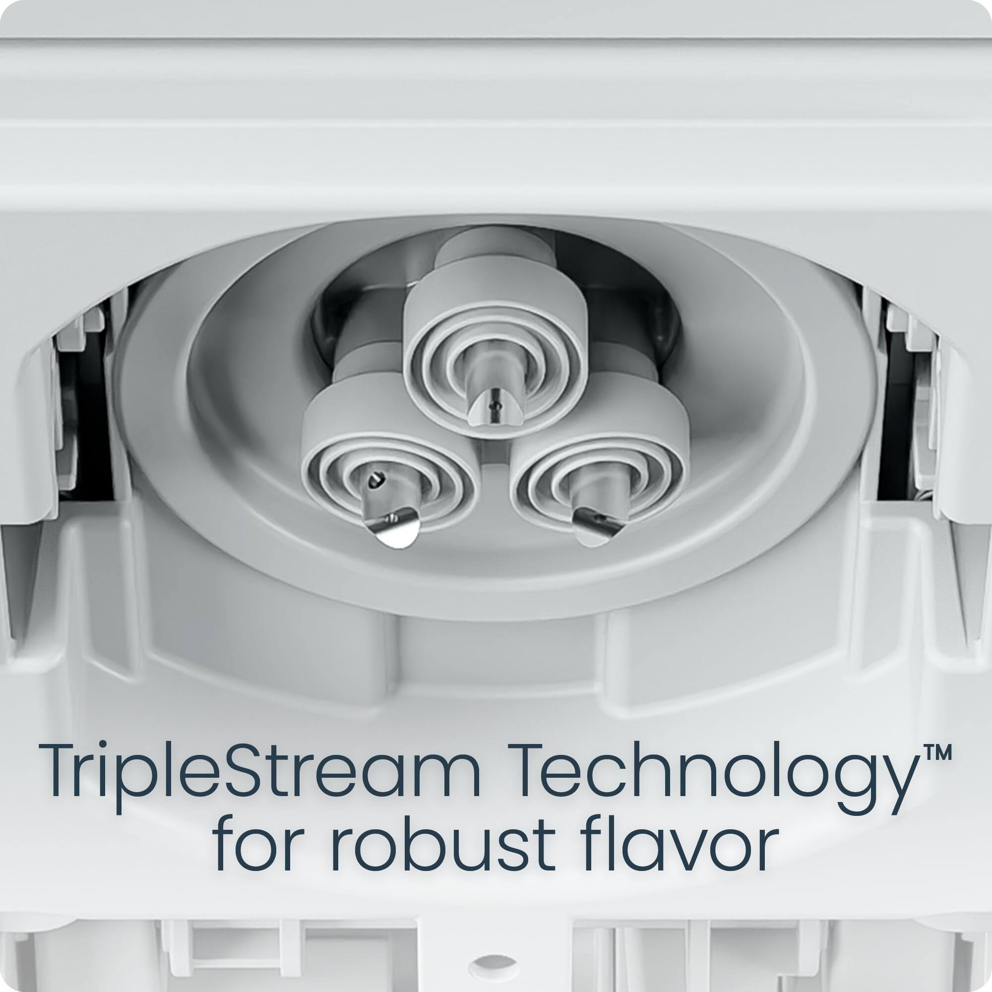 TripleStream Technology™ for robust flavor