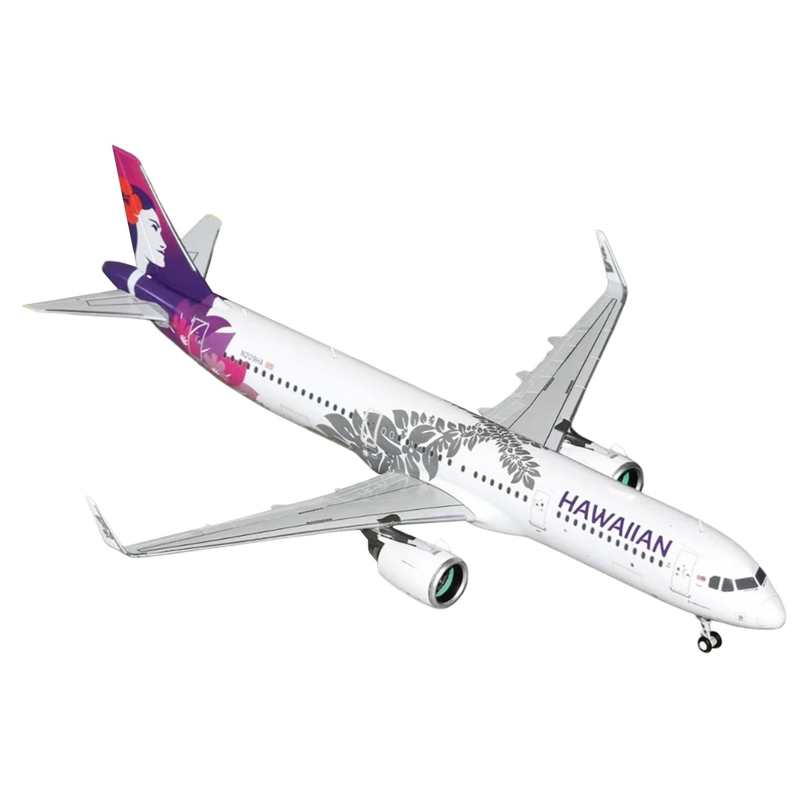 N209HA  
HAWAIIAN