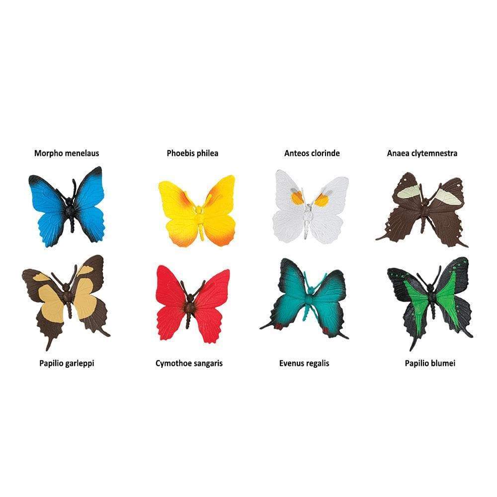 Morpho menelaus  
Phoebis philea  
Anteos clorinde  
Anaea clytemnestra  
Papilio garleppi  
Cymothoe sangaris  
Evenus regalis  
Papilio blumei