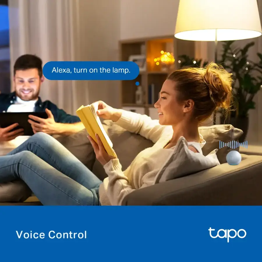 Alexa, turn on the lamp. Voice Control tapo