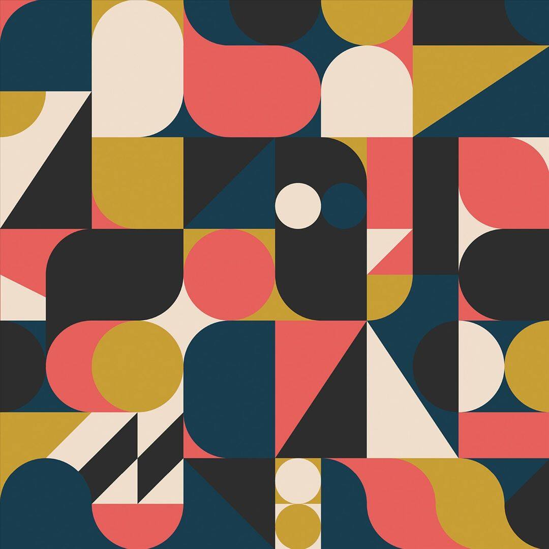 Front. We Thought It Was Okay at the Time (2013-2015) [LP] [LP].