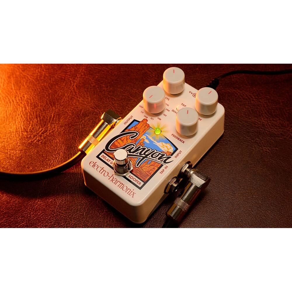 Chorus  
electro-harmonix  
DELAY & LOOPER  

INPUT  
TAP IN  
OUTPUT  

TAP  
DIV  
REPEAT  
FEEDBACK