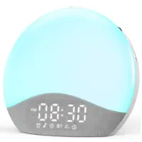 ecozy Sunrise Alarm Clock, White Noise Sound Machine, Upgraded Backlit Buttons for Bedrooms, 26 Soothing Sounds - Grey - Front_Zoom