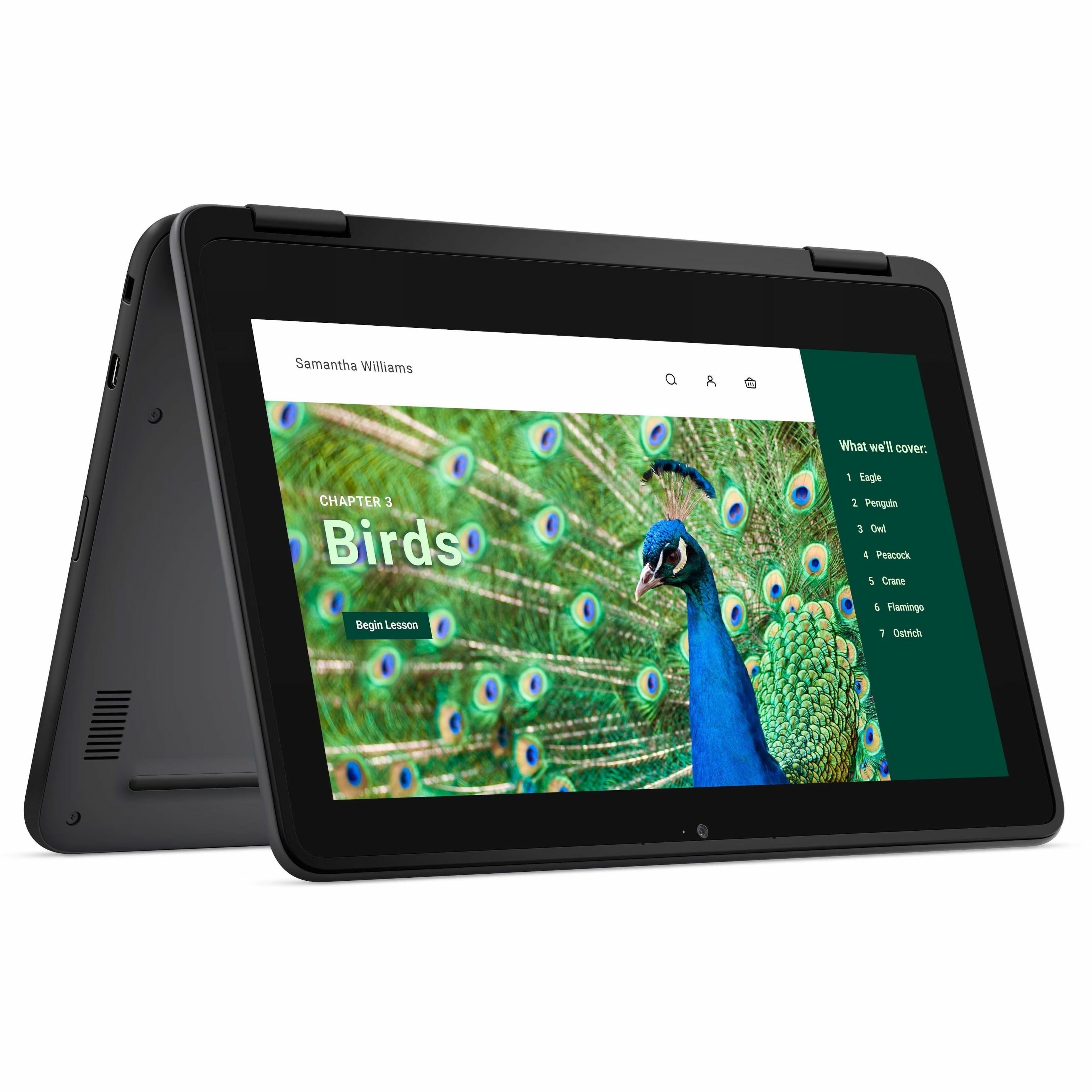 Samantha Williams will cover the following topics in Chapter 3: Birds. The topics include an Eagle, a Penguin, a Dalmatian, a Peacock, a Crane, a Flamingo, and an Ostrich.