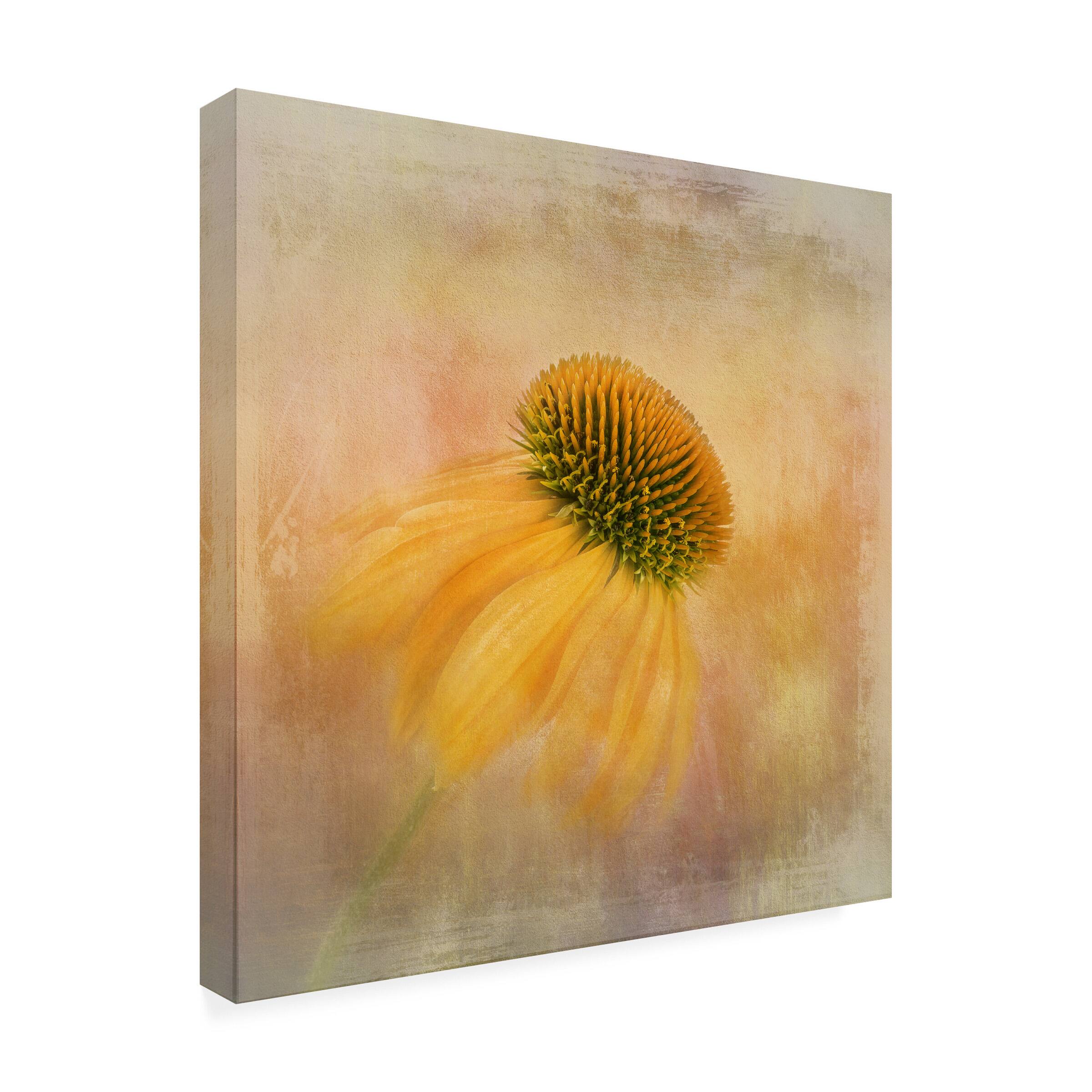 Front. Trademark Fine Art - Nel Talen Echinacea In Yellow Canvas Art - 35 x 35 Inches - 35x35 - Multicolor.