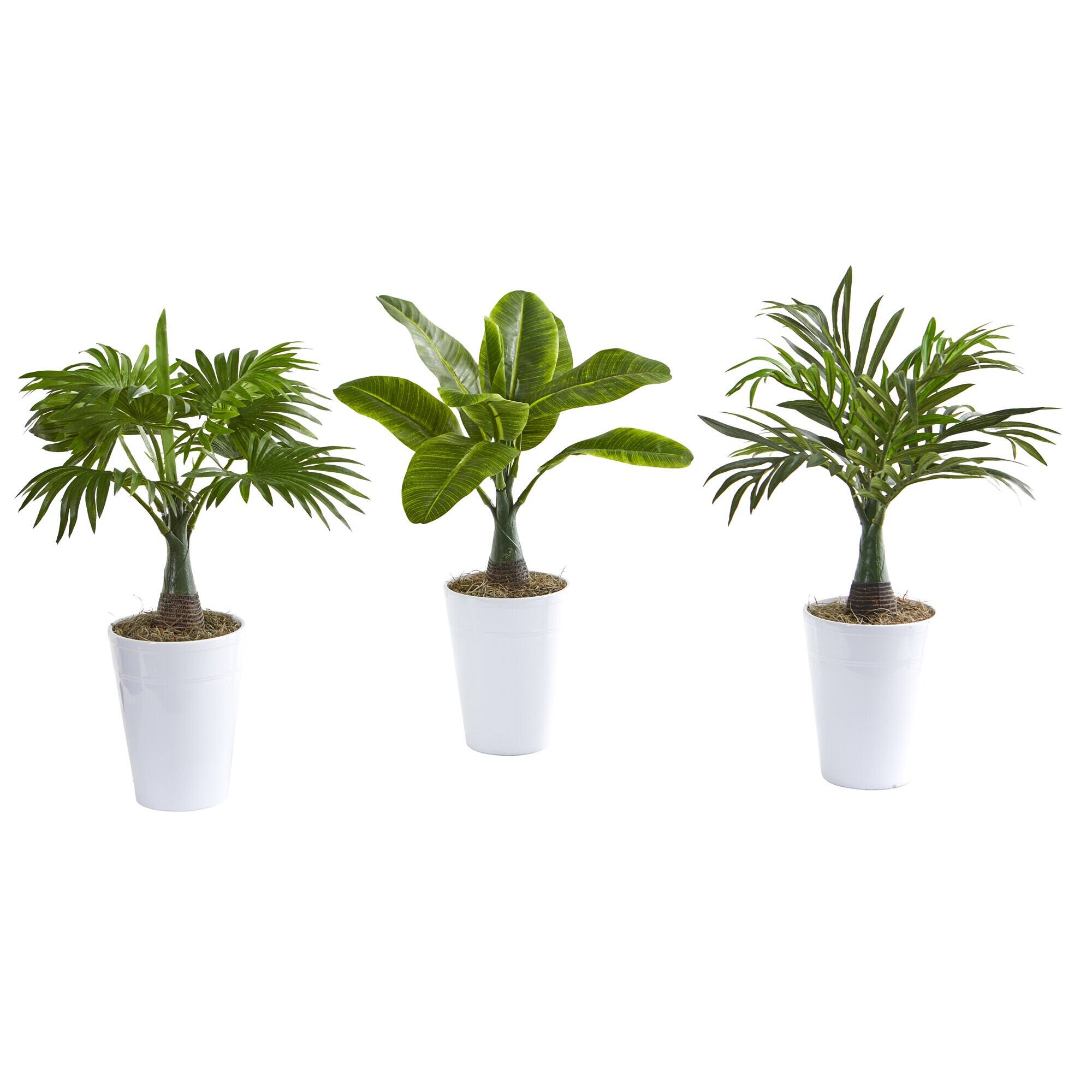 Front. BreeBe - 18" Mini Palm and Banana Plant in White Planter (Set of 3) - Green.