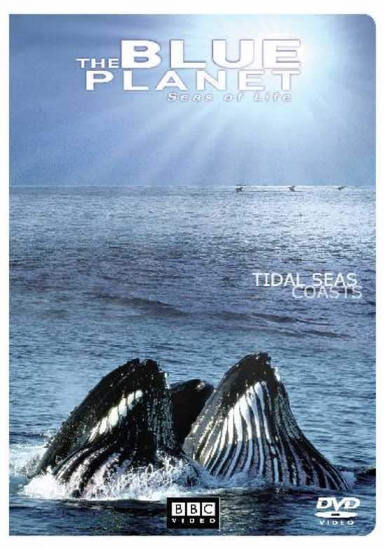 Front. The Blue Planet: Seas of Life - Tidal Seas/Coasts [DVD].