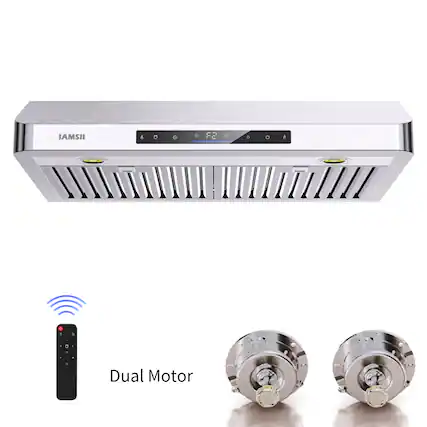 IAMSIII - a Dual Motor