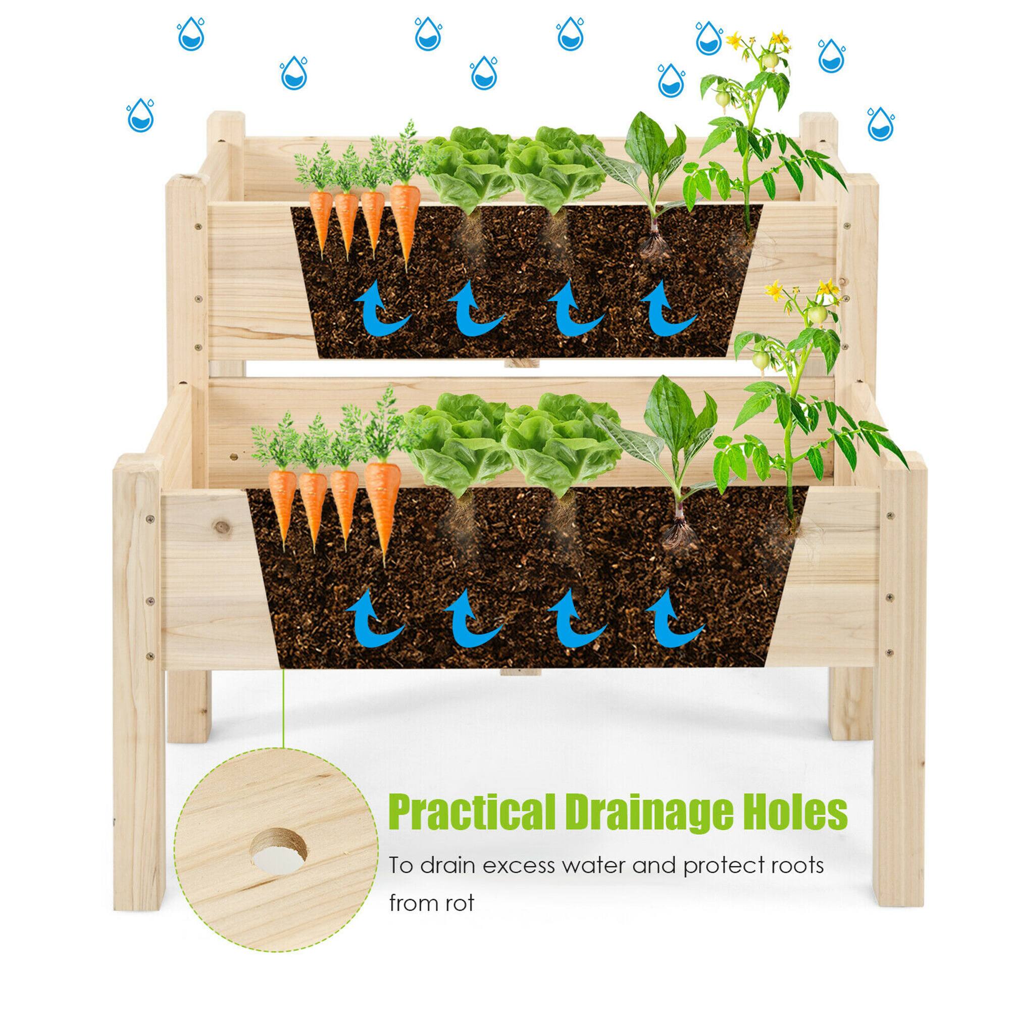 Practical Drainage Holes

To drain excess water and protect roots from rot