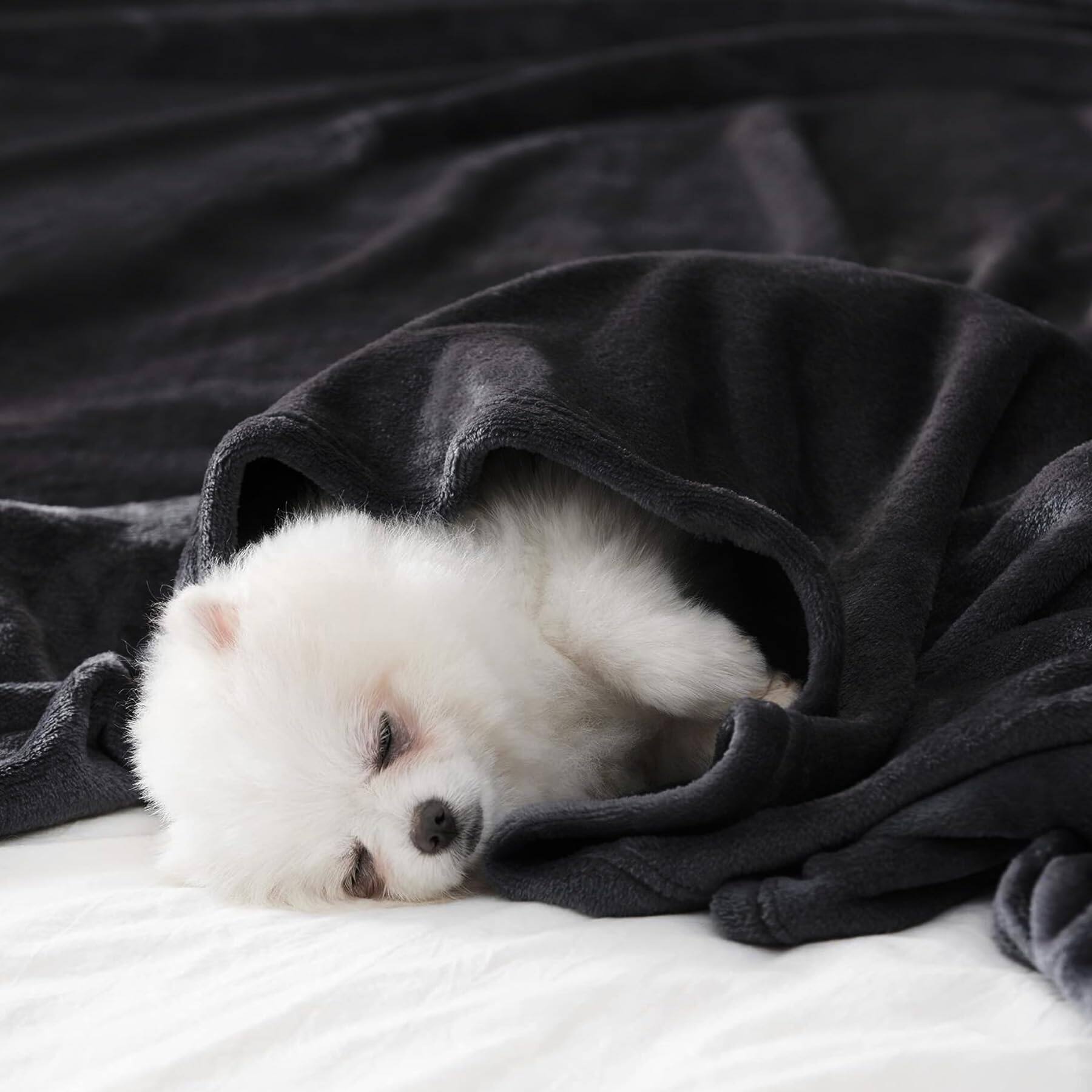 Alt View 2. Paradigms Interiors - Fleece Blanket Queen Size Super Soft Flannel Throw Lightweight Fuzzy Plush For Couch Sofa Or Bed All Season... - Navy Blue-Queen.