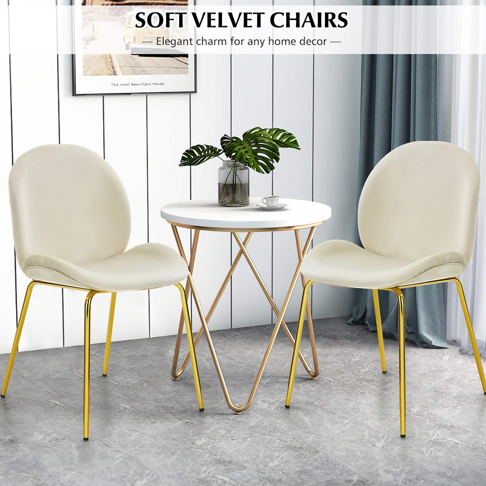 Soft Velvet Chairs: Elegant charm for any home decor.
